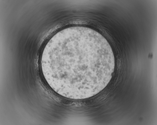 X0000114530727200911301138