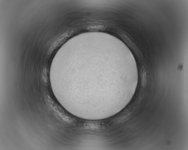 X0000114530729200911301138