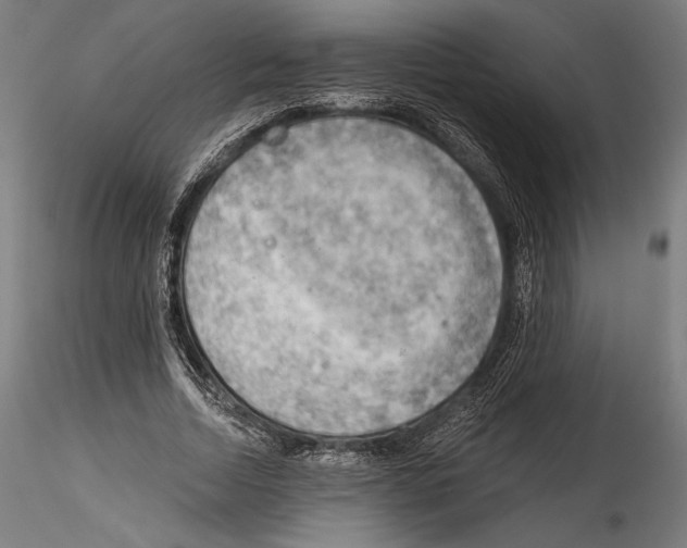 X0000114530730200911301138