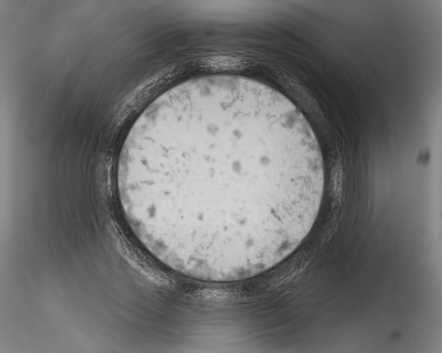 X0000114530733200911301138