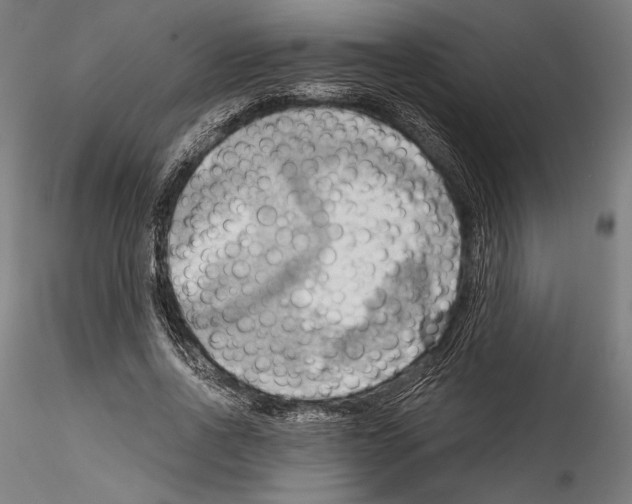 X0000114530734200911301138