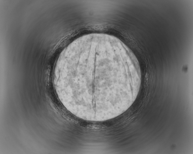 X0000114530739200911301138