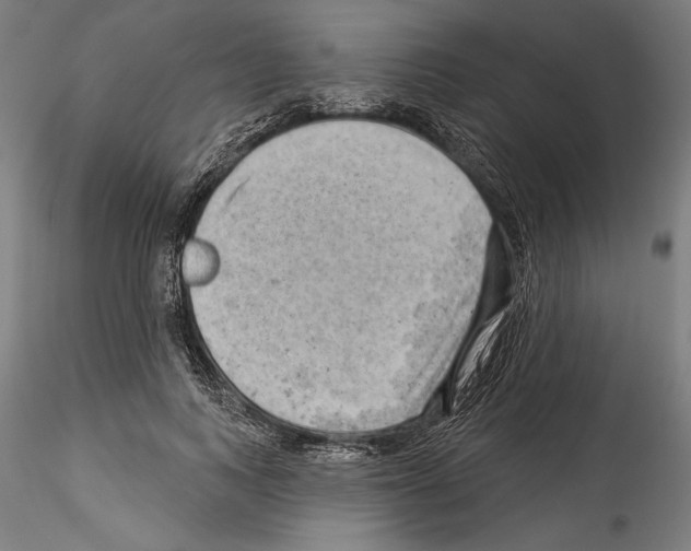 X0000114530743200911301138