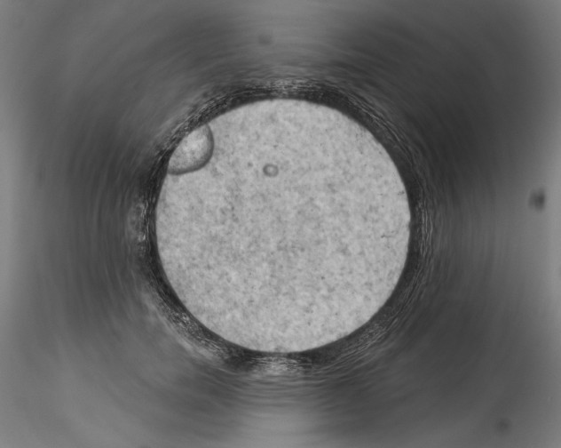 X0000114530750200911301138