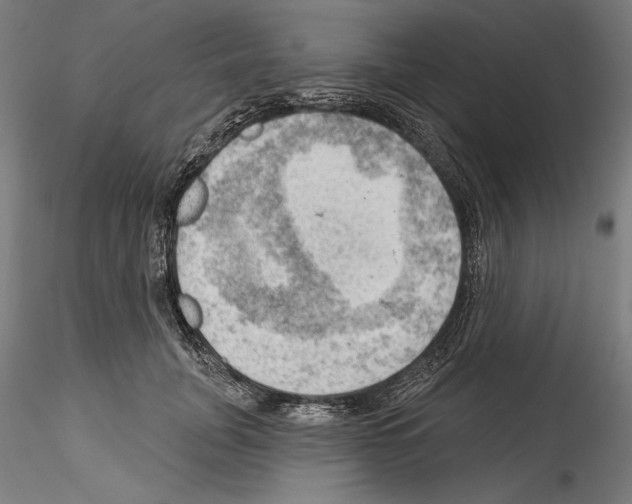 X0000114530751200911301138