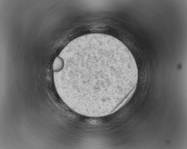 X0000114530755200911301138