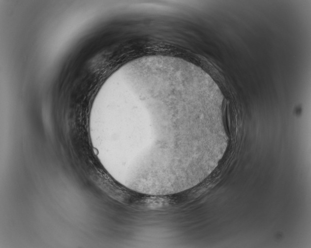 X0000114530762200911301138