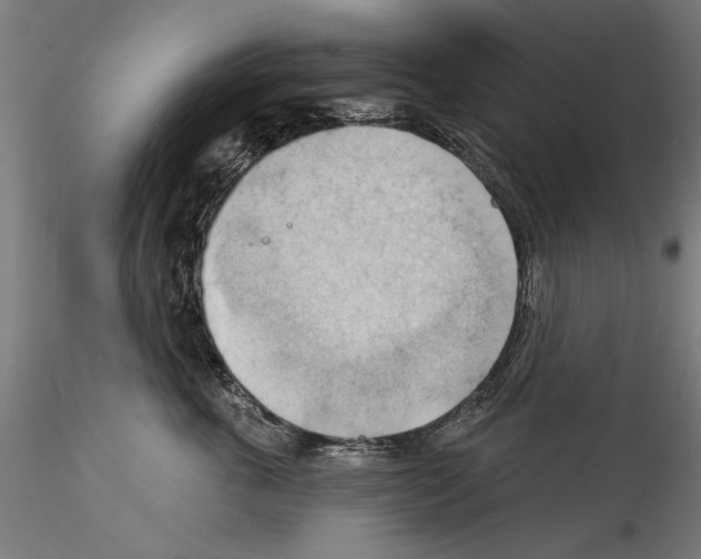 X0000114530763200911301138