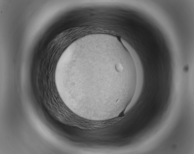 X0000114530766200911301138