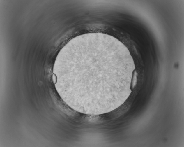 X0000114530767200911301138