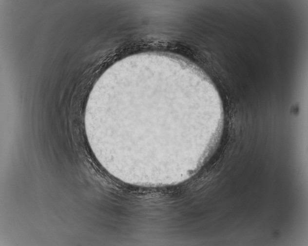 X0000114530769200911301138