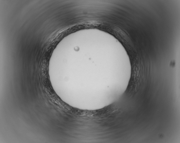 X0000114530773200911301138