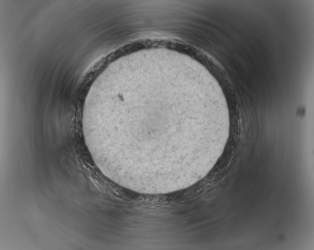 X0000114530775200911301138