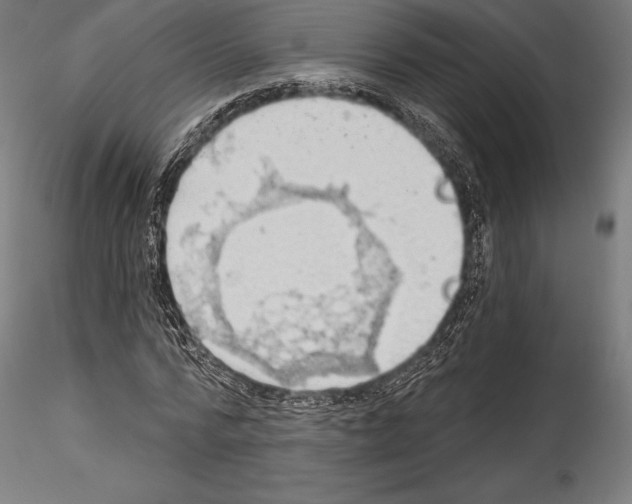 X0000114530776200911301138