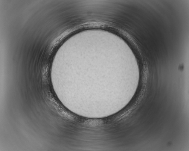 X0000114530778200911301138