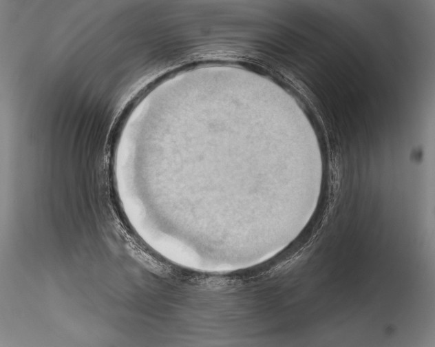 X0000114530779200911301138