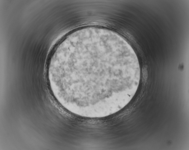 X0000114530780200911301138