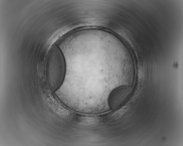 X0000114530781200911301138