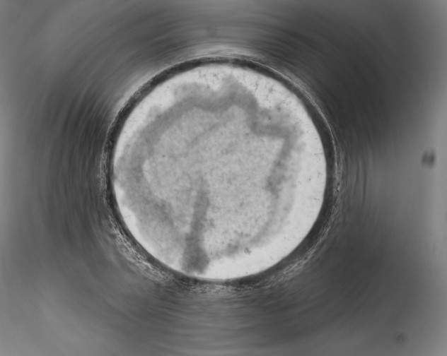 X0000114530783200911301137