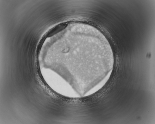 X0000114530784200911301137