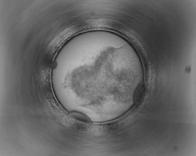 X0000114530785200911301137