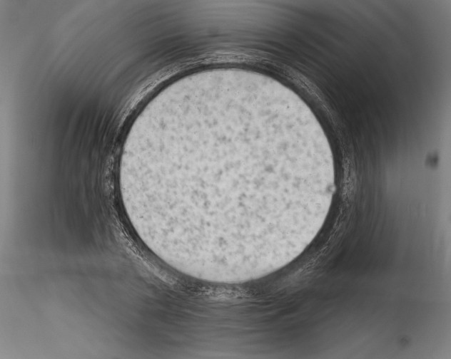 X0000114530786200911301137