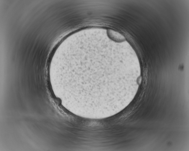 X0000114530787200911301137