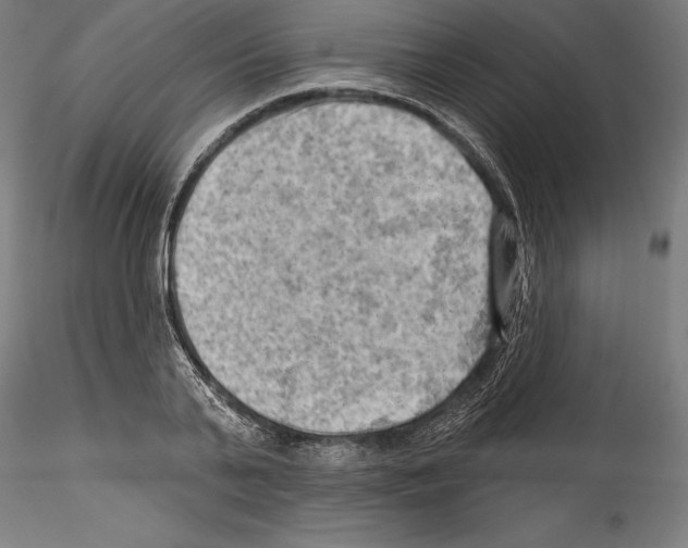 X0000114530791200911301137