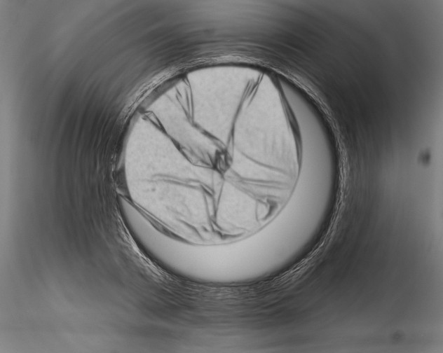 X0000114530793200911301137