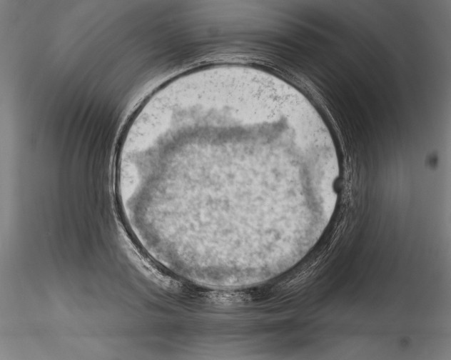 X0000114530795200911301137