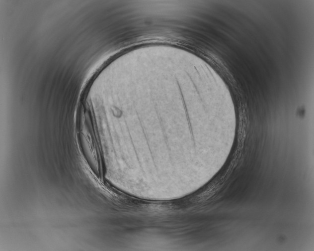 X0000114530796200911301137