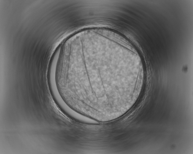 X0000114530797200911301137