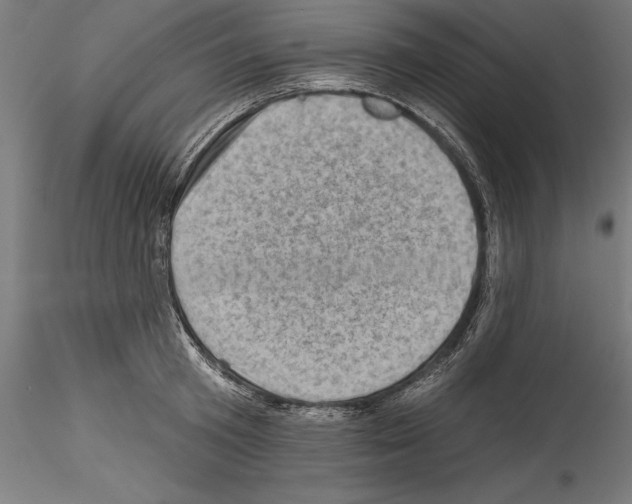 X0000114530801200911301137