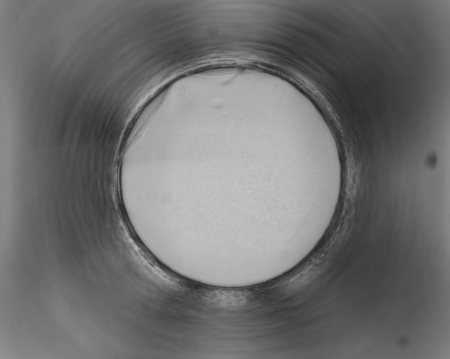 X0000114530802200911301137