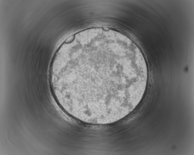 X0000114530803200911301137