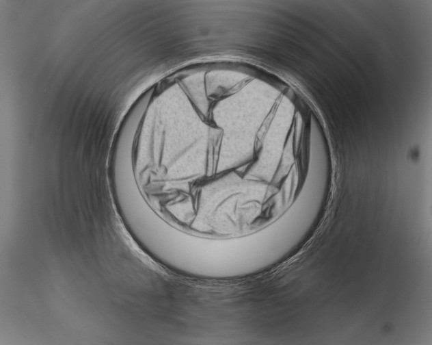 X0000114530805200911301137