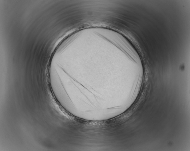 X0000114530806200911301137