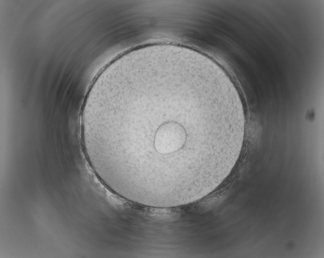 X0000114530807200911301137