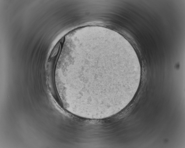 X0000114530808200911301137