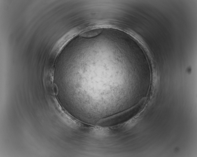 X0000114530809200911301137