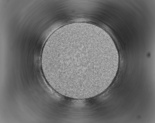 X0000114530810200911301137