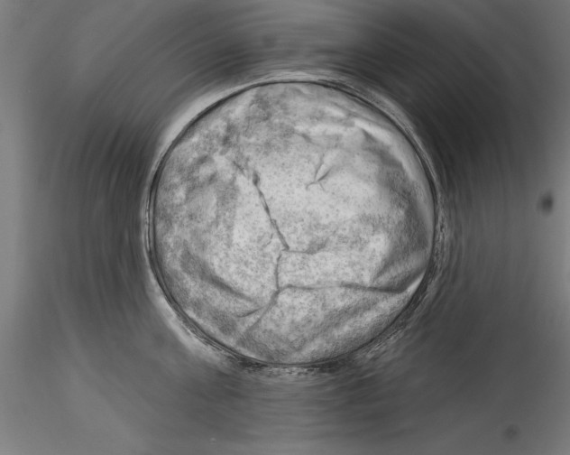 X0000114530811200911301137