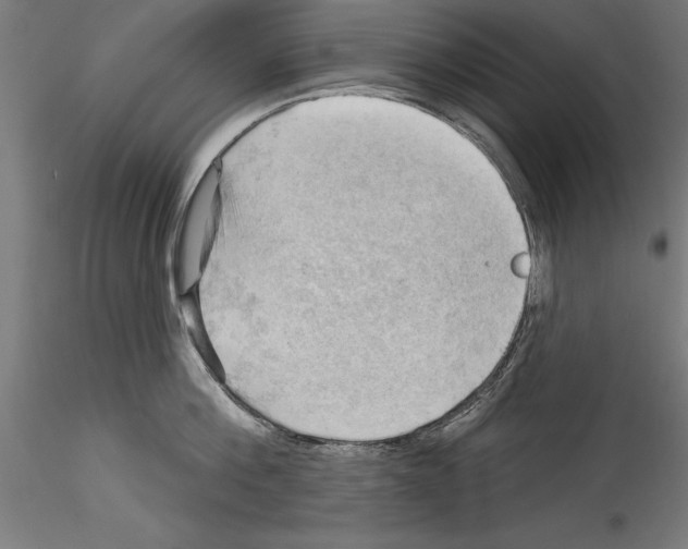 X0000114530812200911301137