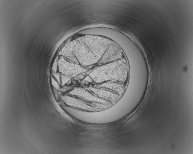 X0000114530813200911301137