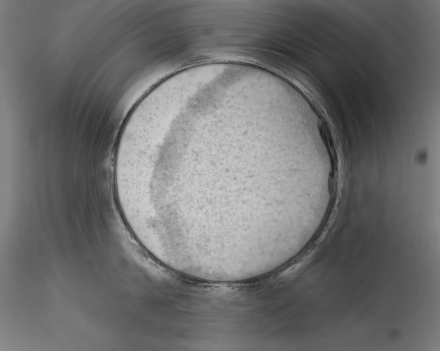 X0000114530814200911301137