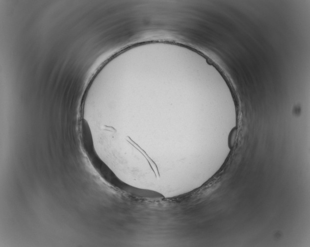 X0000114530815200911301137