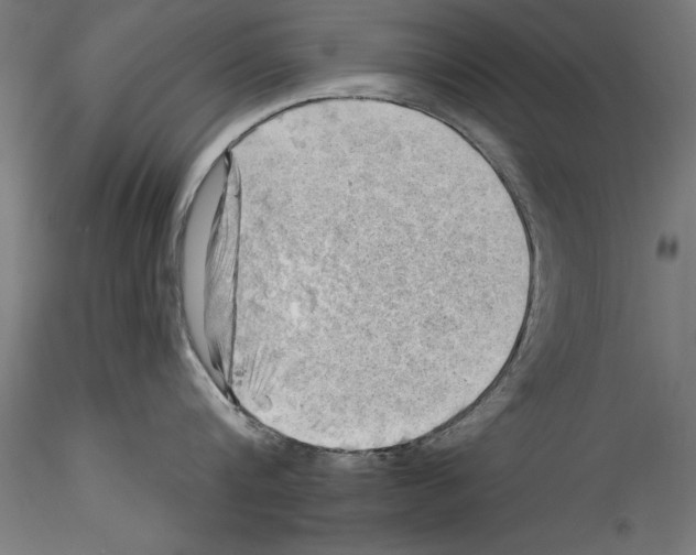 X0000114530816200911301137