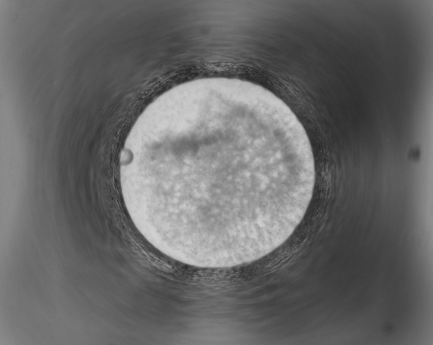 X0000114530817200911301136