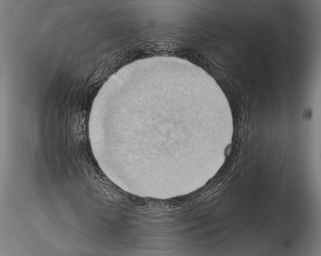 X0000114530818200911301136