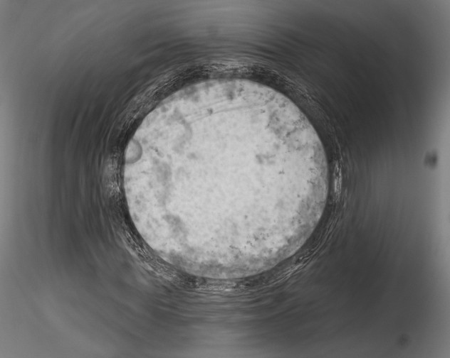 X0000114530819200911301136